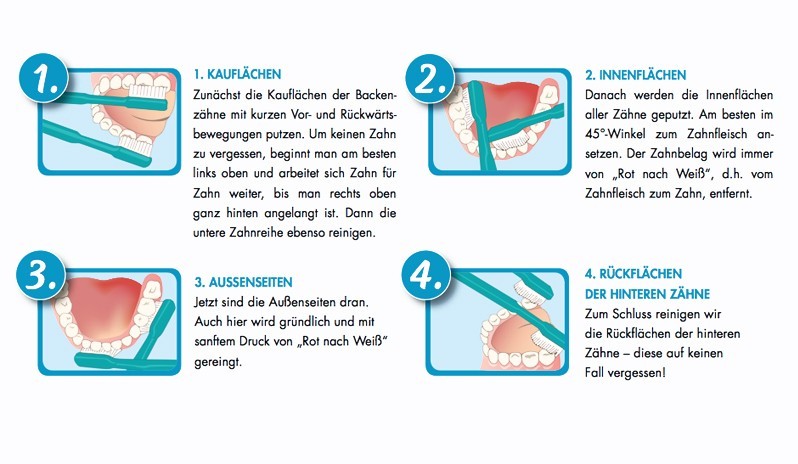 Schema Reinigung Zähne
